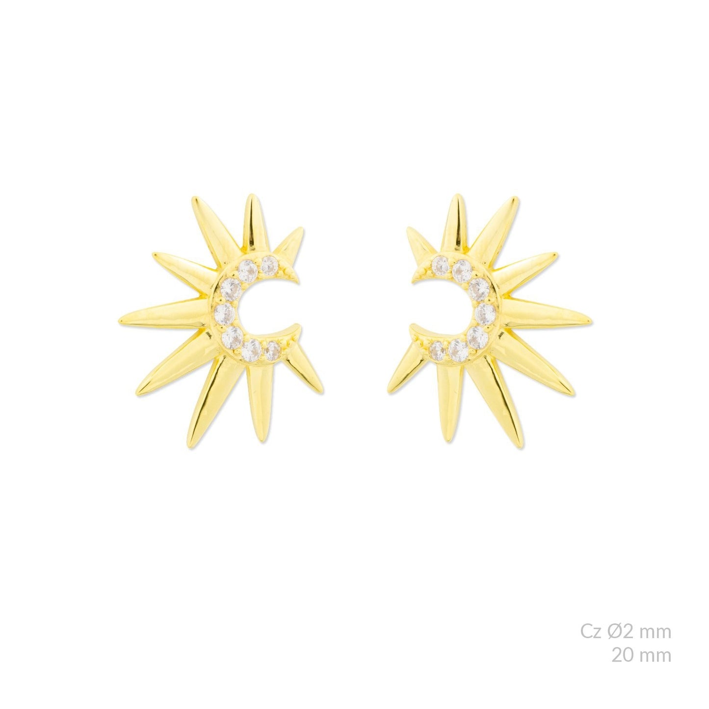 Pendientes ficus