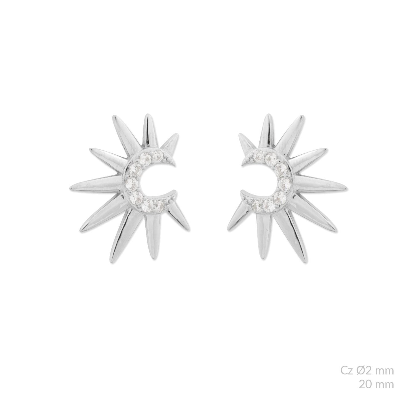 Pendientes ficus